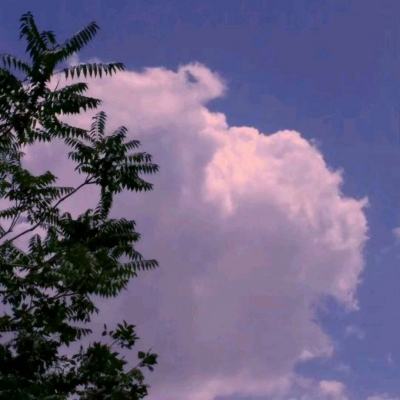 乾坤战纪sf公益服下载
